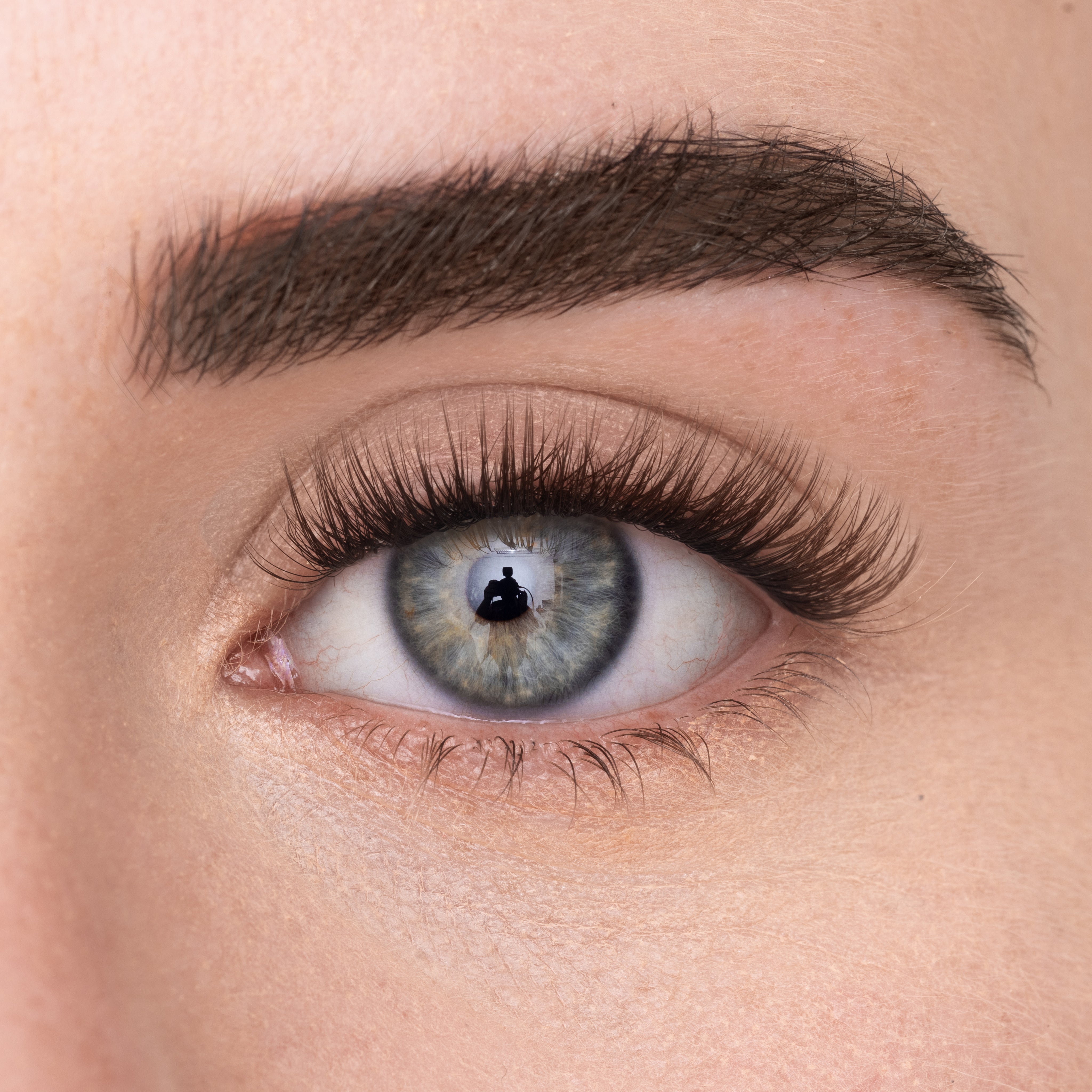 
            
              COSY LASH (DE) - MAYSON Cosmetics
            
          