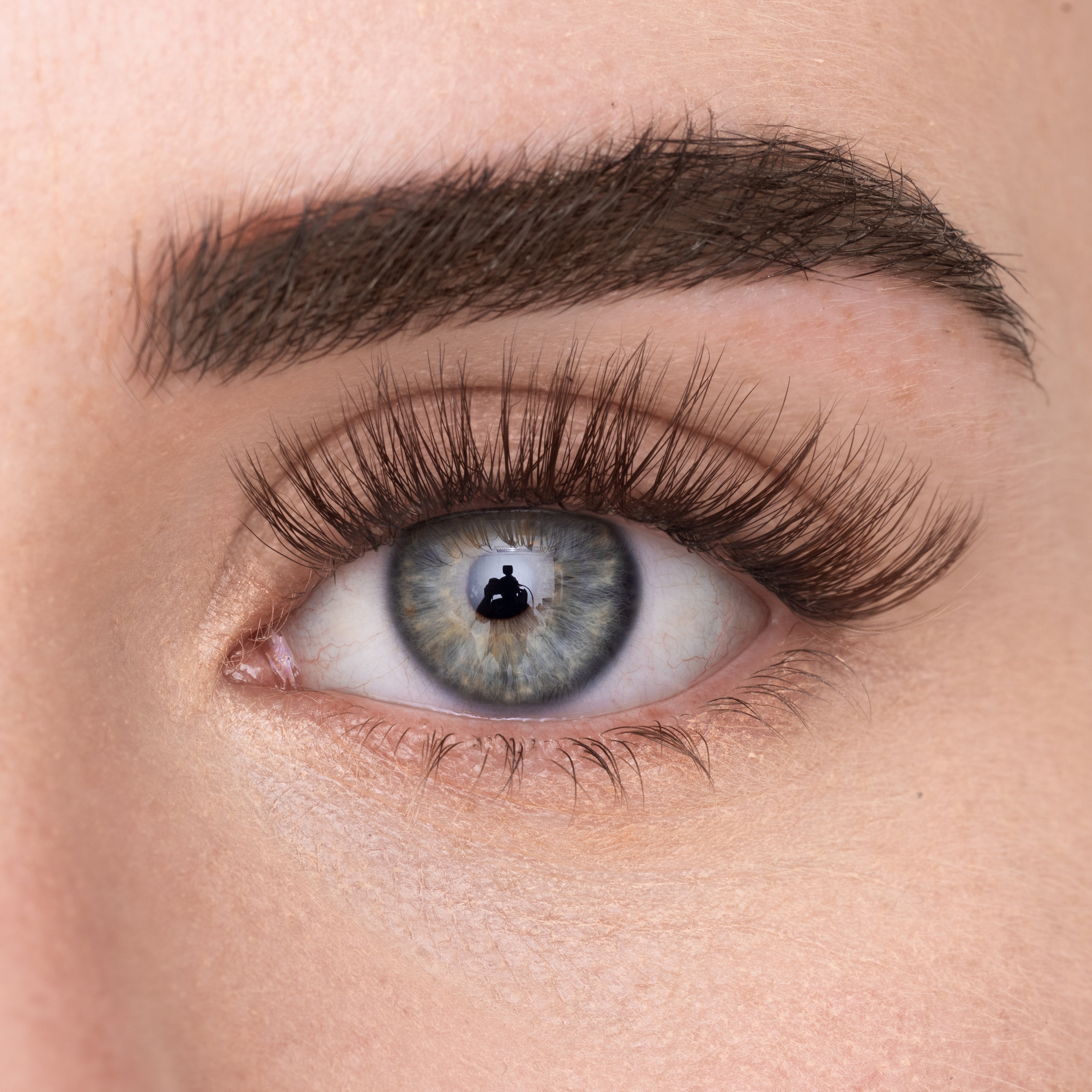 
            
              COSY LASH (DE) - MAYSON Cosmetics
            
          