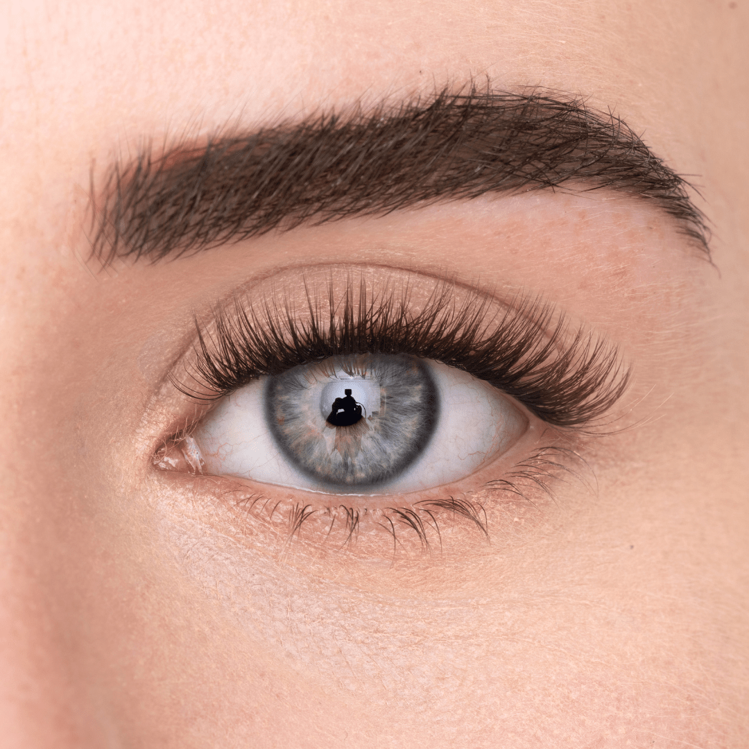 
            
              COSY LASH (DE) - MAYSON Cosmetics
            
          