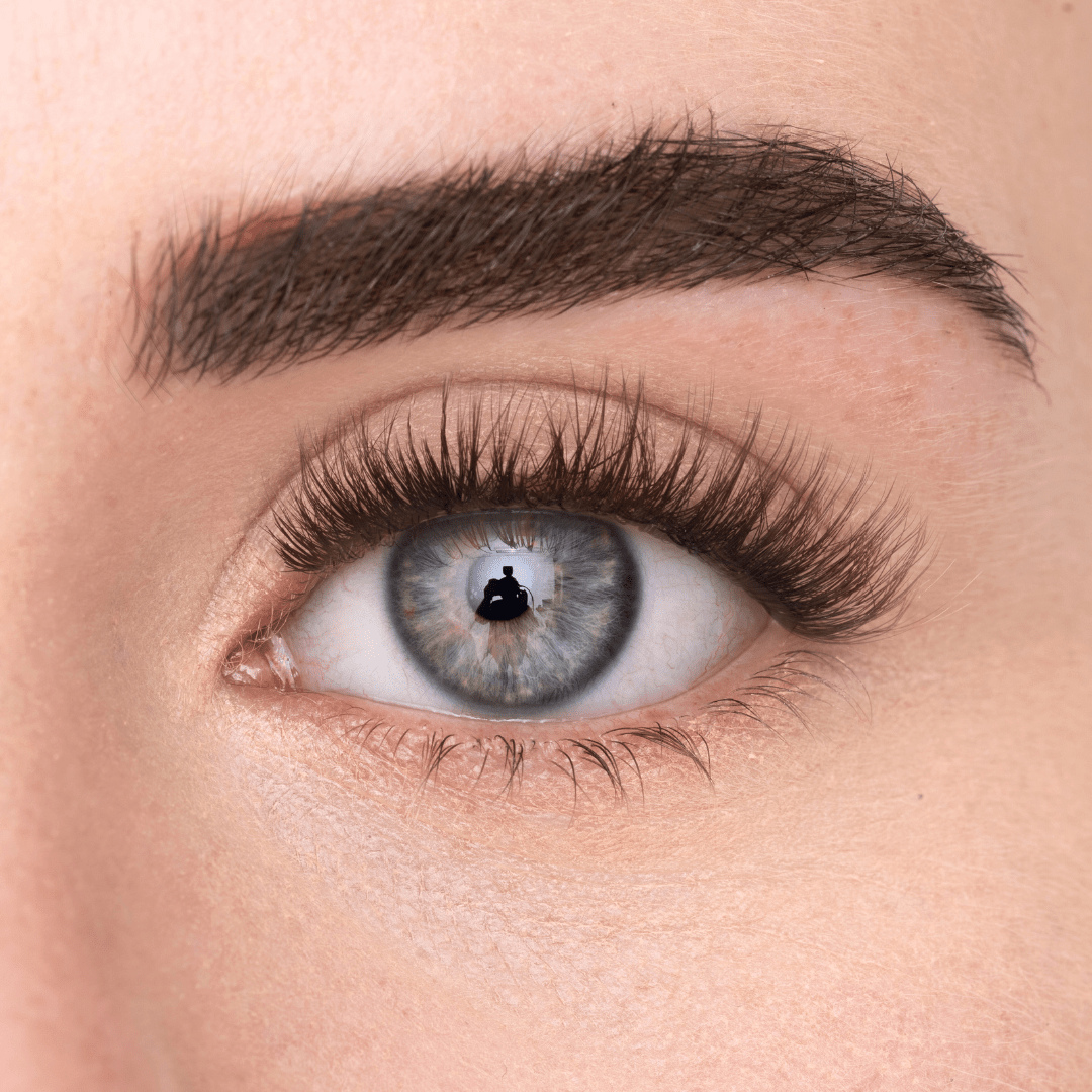 
            
              COSY LASH (DE) - MAYSON Cosmetics
            
          