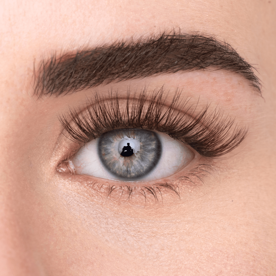 
            
              COSY LASH (DE) - MAYSON Cosmetics
            
          