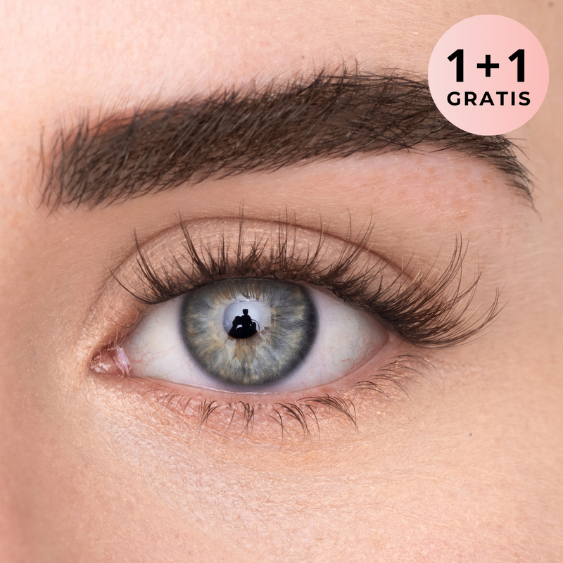 WISPY LASH (DE)