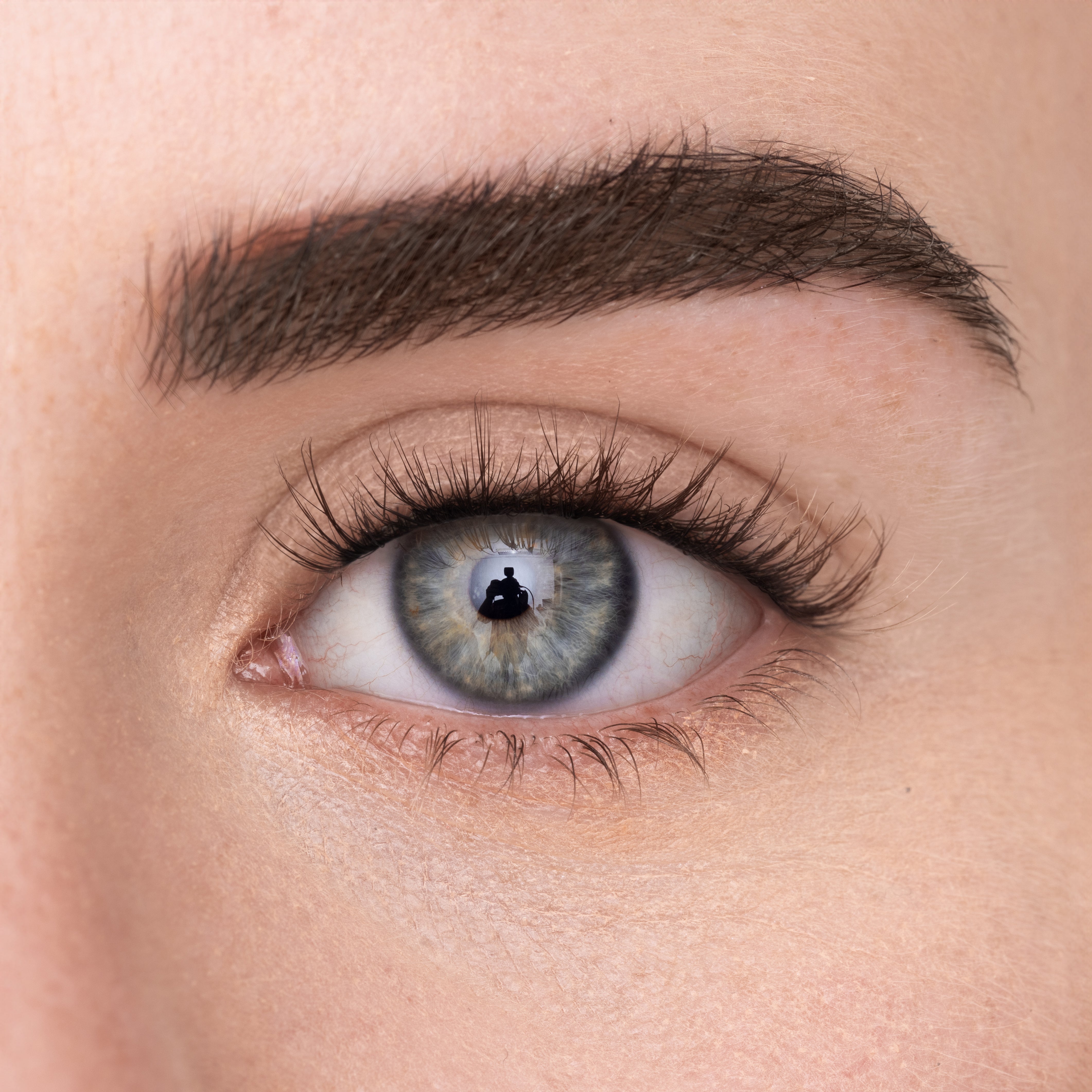 
            
              WISPY LASH (DE) - MAYSON Cosmetics
            
          