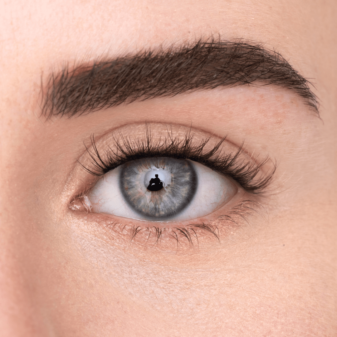 
            
              PRESS - ON LASHES (DE) - MAYSON Cosmetics
            
          